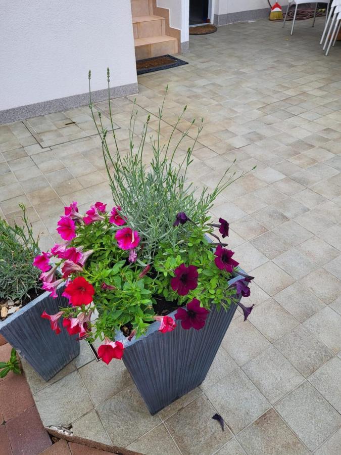 Apartments Kaja Pag Town Εξωτερικό φωτογραφία